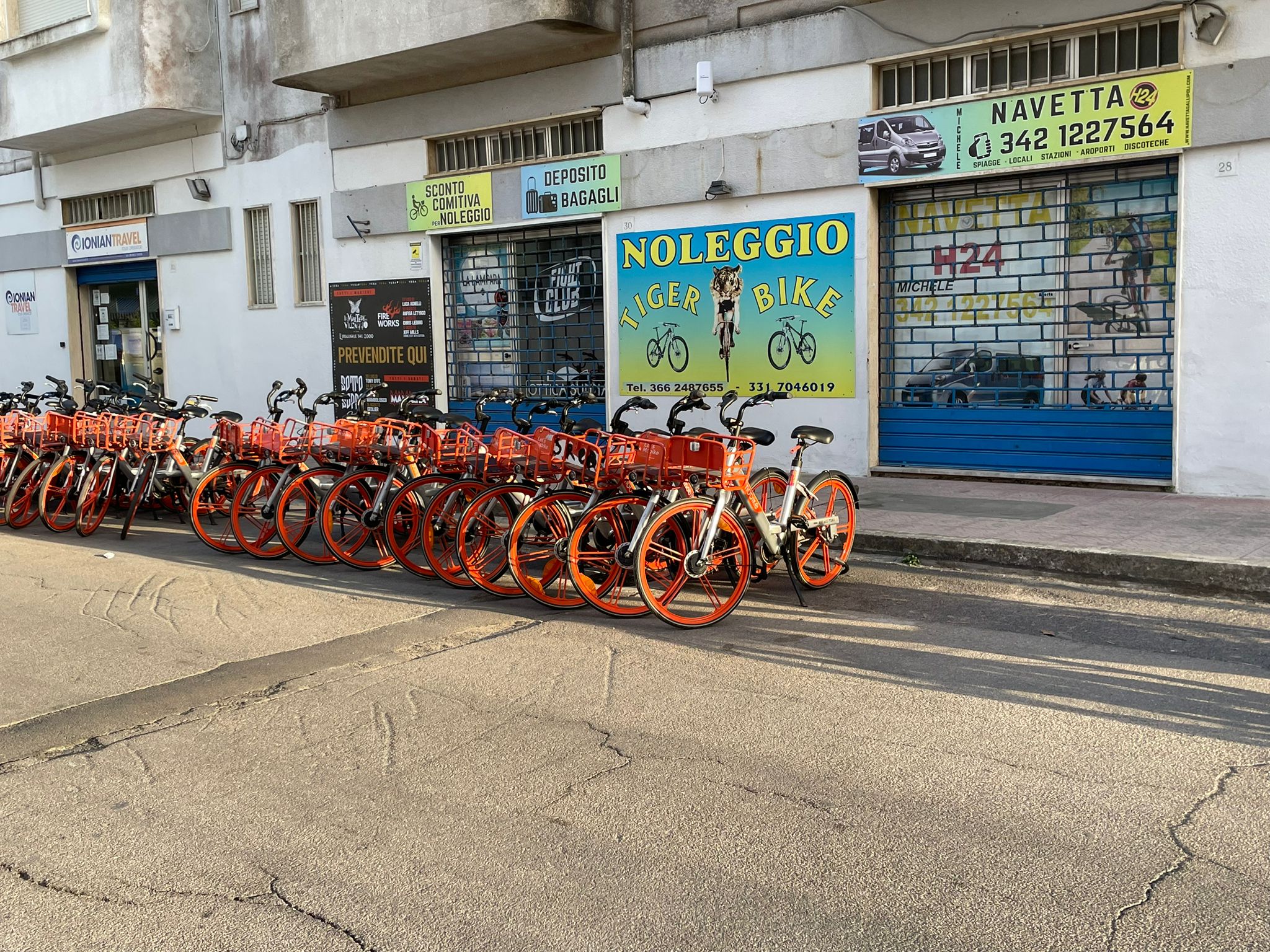 Al momento stai visualizzando Tiger Bike