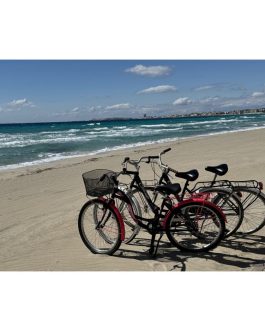 Semplice Bicicletta da passeggio