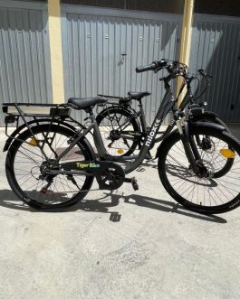 eBike