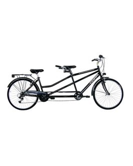 Bicicletta Biposto