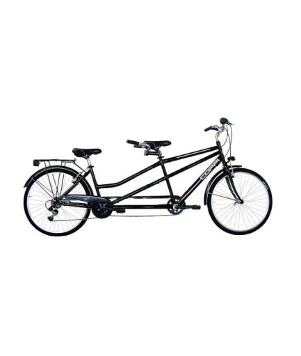 Bicicletta Biposto - immagine 2