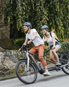 Bicicletta Biposto